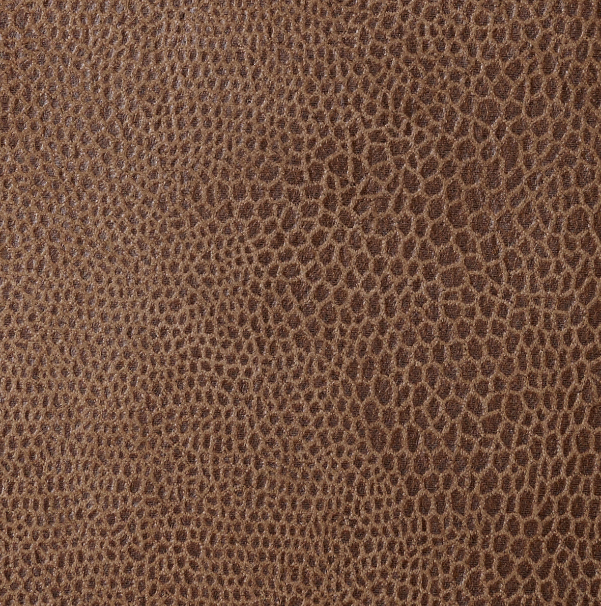 551 Faunal Brown