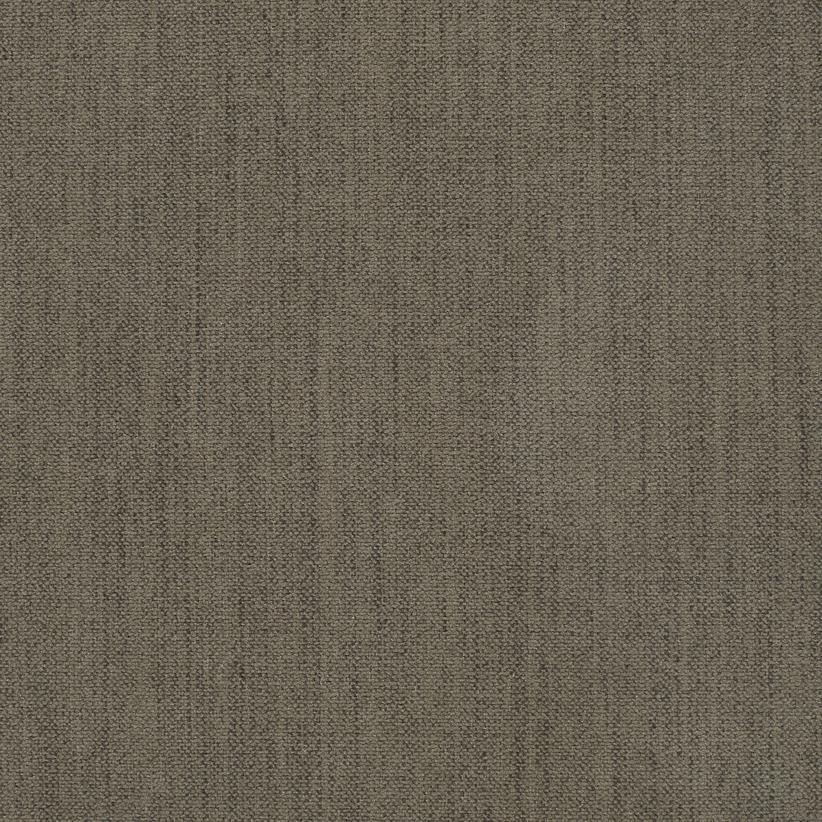 575 Vivus Dusty Olive