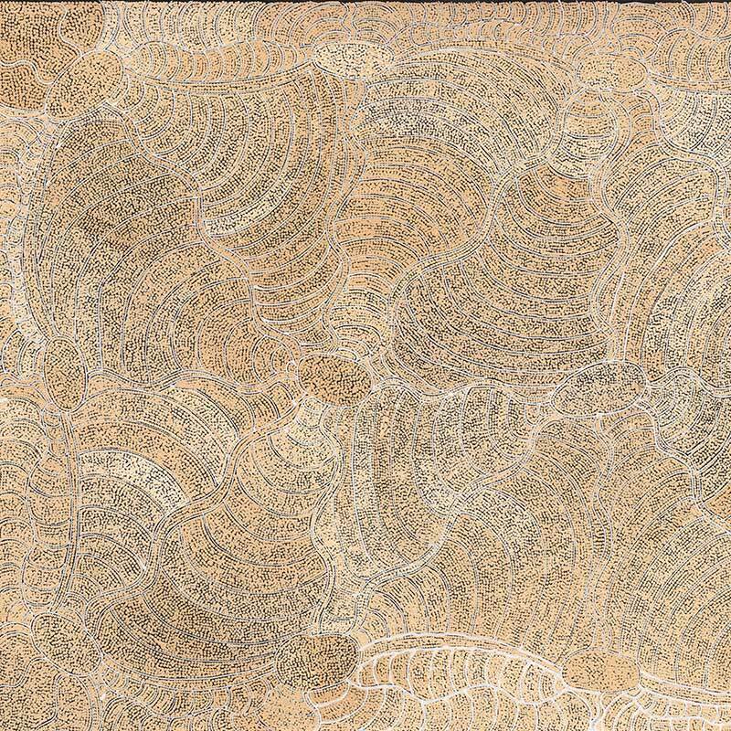 Janganpa Jukurrpa II - Oak Box Frame Canvas