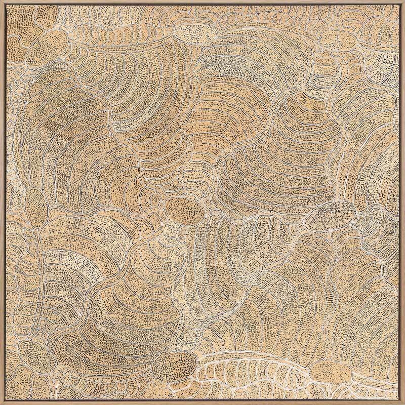 Janganpa Jukurrpa II - Oak Box Frame Canvas
