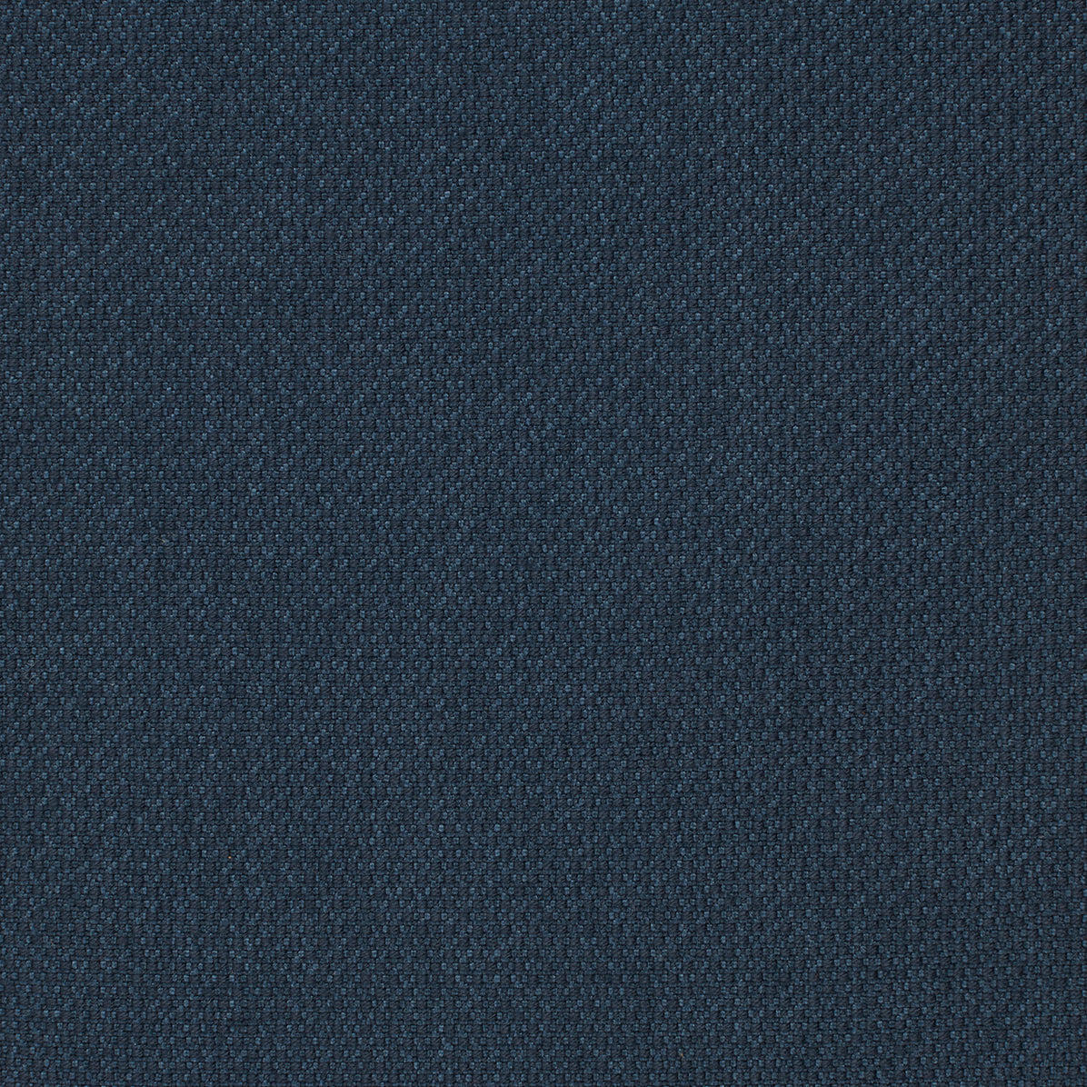 580 Argus Navy Blue